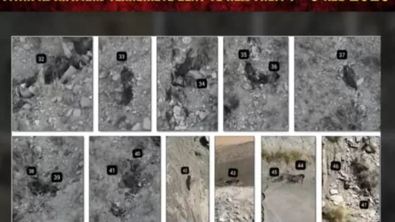 Security forces thwart cross-border infiltration in Balochistan; 47 terrorists killed