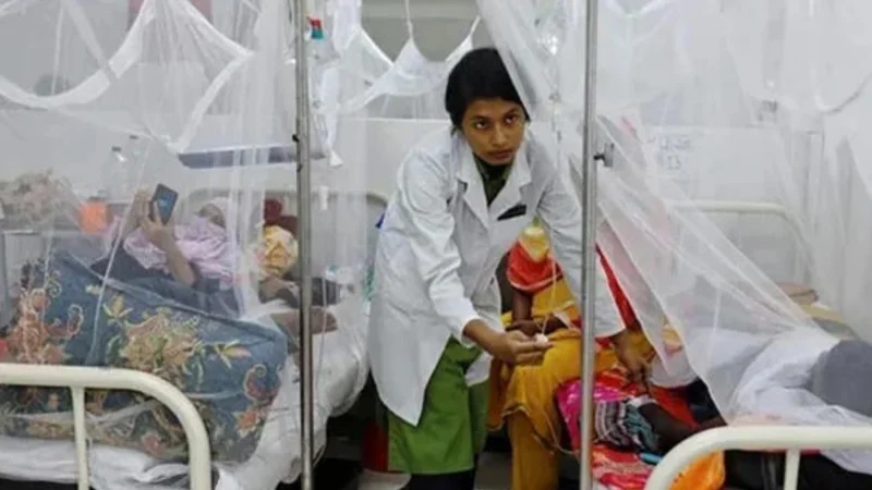 Dengue cases