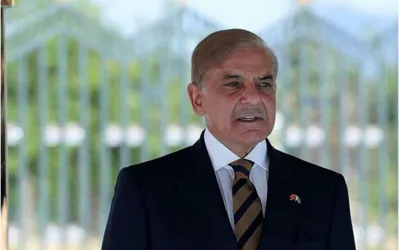 PM Shehbaz stresses urgent completion of Diamer Bhasha Dam