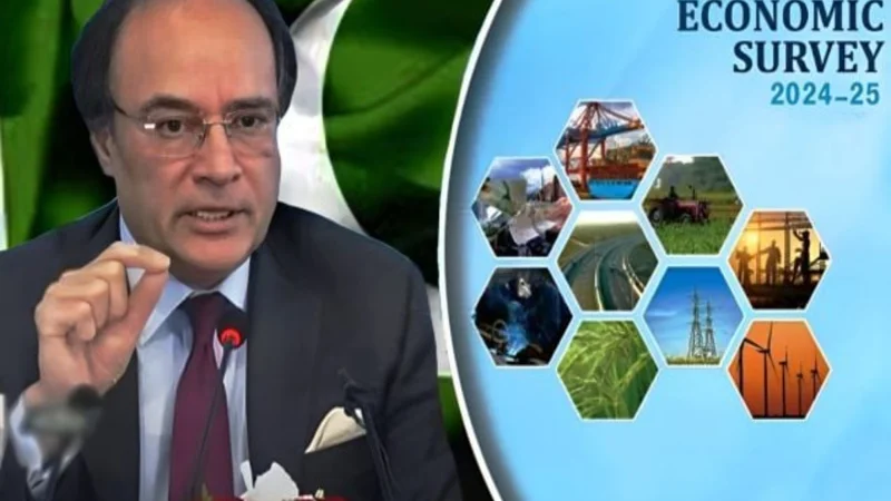 Government Unveils Economic Survey 2024-25