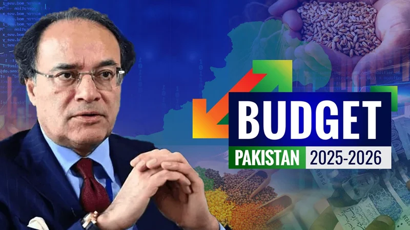 Pakistan's Budget 2025-26: 10% increase in Salaries and 7% hike in Pensions , Adds Carbon Levy to Petrol & Diesel