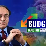 Pakistan's Budget 2025-26: 10% increase in Salaries and 7% hike in Pensions , Adds Carbon Levy to Petrol & Diesel