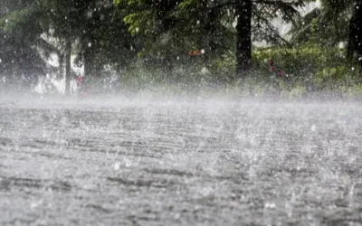 Weather Alert: Pre-Monsoon system expected to hit Sindh from Saturday