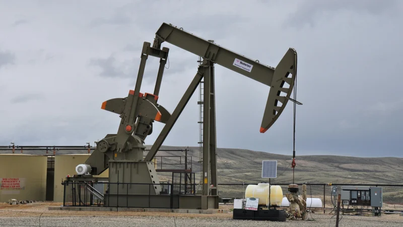 Oil
