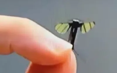 Smaller than ever, China introduces 0.6 cm stealth drone