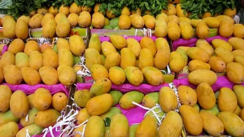 mangoes