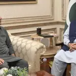 PM Shehbaz appreciates provinces, Forces for ensuring peaceful Ashura