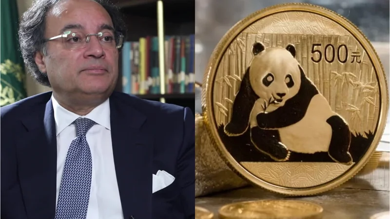 Pakistan’s Finance Ministry holds investor meetings in China for Panda Bond launch