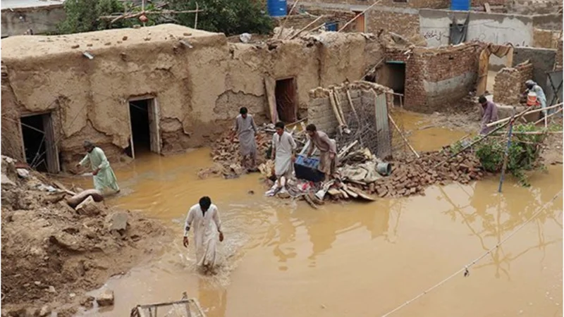 Monsoon rains claim 31 lives in Balochistan