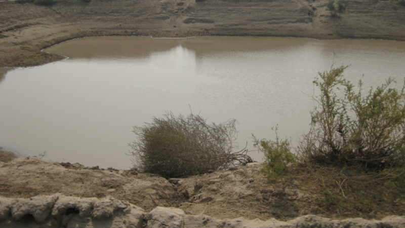 Mother and two children drown in Pond
