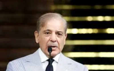 Peace in region linked to Kashmir resolution: PM Shehbaz