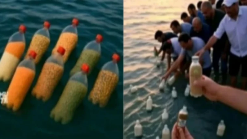 Egyptian man throws food into Sea for Gaza, Sparking global emotion