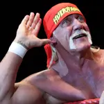 Wrestling champion Hulk Hogan dies at 71