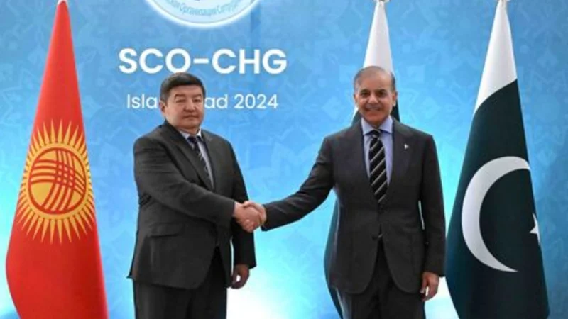 Pakistan and Kyrgyzstan target $100 Million trade boost