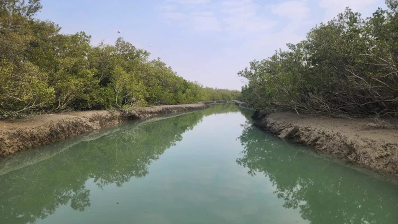 ‘Miani Hor’ declares as Pakistan’s third marine protected area