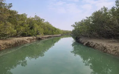 ‘Miani Hor’ declares as Pakistan’s third marine protected area