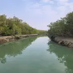 ‘Miani Hor’ declares as Pakistan’s third marine protected area