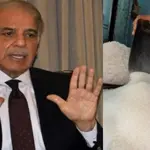 PM Shehbaz Sharif strict orders: Sugar sells at Rs173 Nationwide, or face consequences