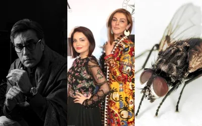 Adnan Siddiqui claims women are like houseflies