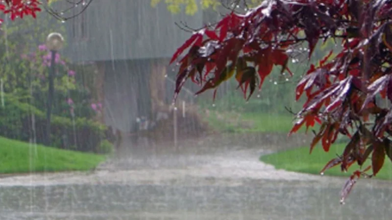 High Alert for Heavy Rain, Storms in Punjab during Eid