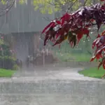 High Alert for Heavy Rain, Storms in Punjab during Eid