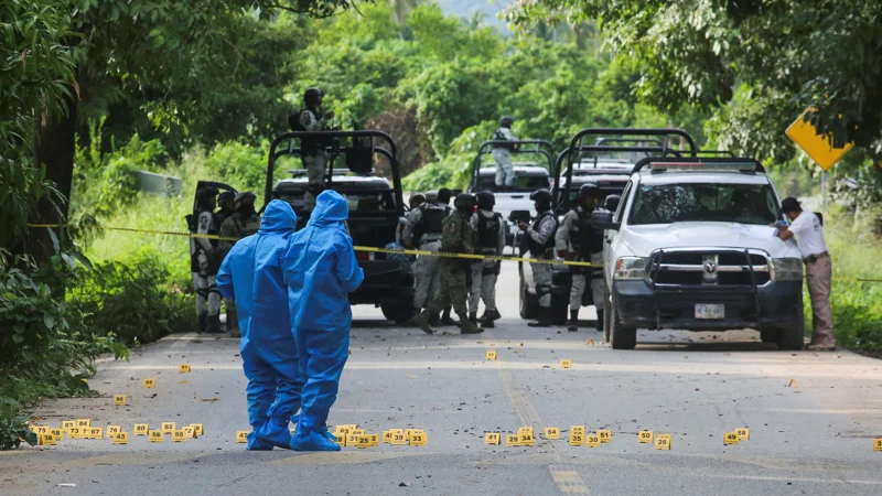 Mexican police officer fatally shot during intervention in Lynching