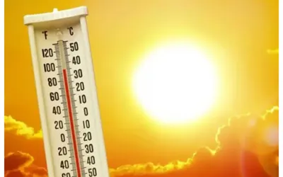 Punjab Prepares For Heatwave in April: PDMA Releases Alert