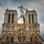 Notre-Dame cathedral edges closer to reopening five years after devastating fire