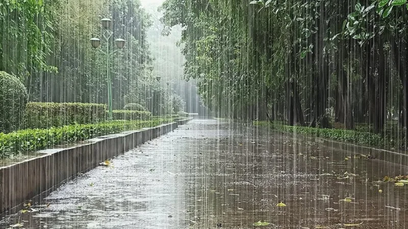 PMD forecast more rains-wind/thunderstorm during this week