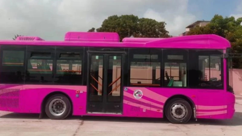 New Pink Bus routes announced for Karachi
