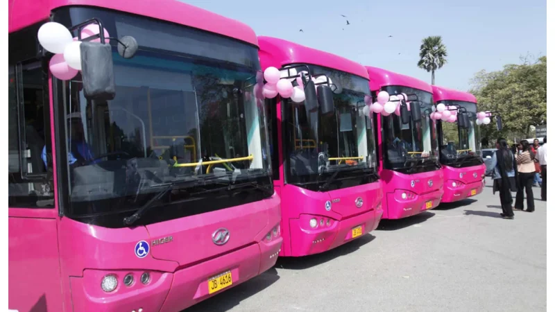 Pink Bus service Islamabad updates routes and timings