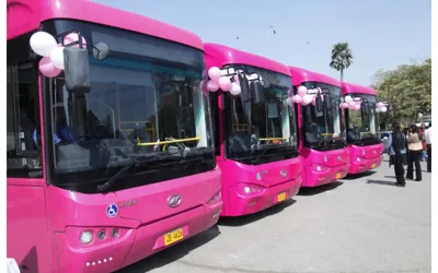 Govt Adds New Routes to Karachi's Pink Bus Service!