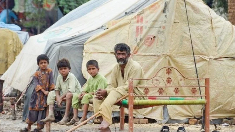 PDMA dispatches relief goods for rains hit people