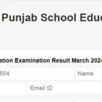 PSEB class 10th results 2024; how to check online
