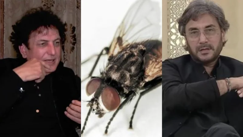 Khalil ur Rehman Qamar give response to Adnan Siddiqui viral clip and calls Ken Doll “Beghaiarat”