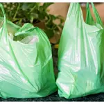 Punjab Sets Official Date for Plastic Bags Ban!