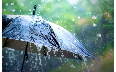 PDMA Predicts Widespread Rain in Punjab Starting April 23rd
