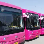 Free Travel for Women on Karachi's Pink Bus Service