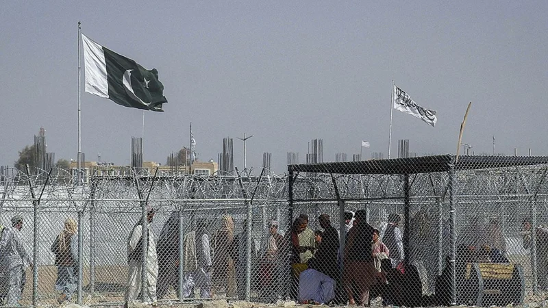 TTP's transformation: From fragmented factions to a Centralized force