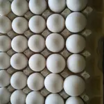 Egg price big drops in Pakistan