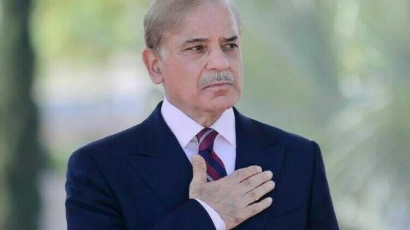PM Shehbaz vows sustainable development as PML-N marks one year