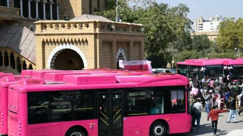 Sindh govt expands pink bus service: new routes and fare