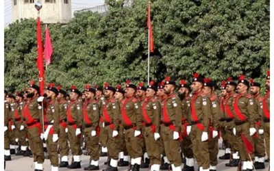 Punjab Police Special Branch Jobs Announced; check details