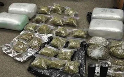 ANF seizes 273 kg drug in eight operations