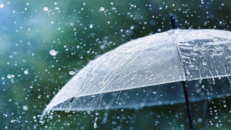 Light rain predicted in Peshawar, Khyber Pakhtunkhwa