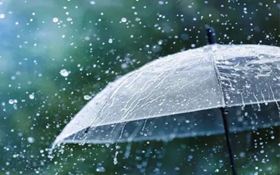Pakistan Weather Forecast: More Rainfall Expected Across Country