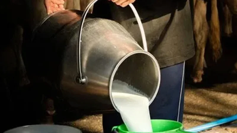 District Administration Announces Milk & Yogurt Prices in Pakistan 2024