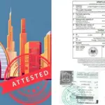 Everything You Need to Know Document Attestation Process in UAE Online