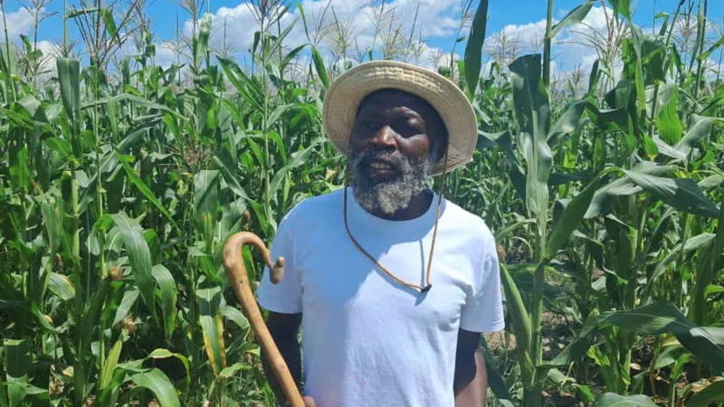 Legal Action against Zimbabwe sect leaders exploiting 251 children as cheap labor