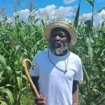 Legal Action against Zimbabwe sect leaders exploiting 251 children as cheap labor